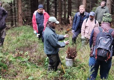 Informace o výsadbě