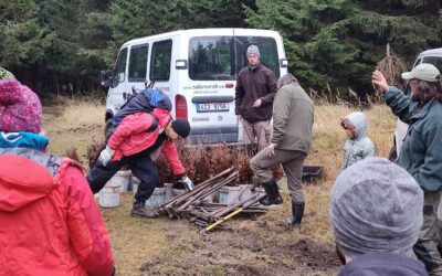Smrk, Beskydy: 1 000 nových buků od dobrovolníků